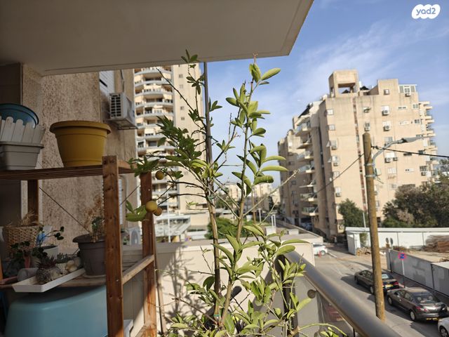 הרב מיימון 22