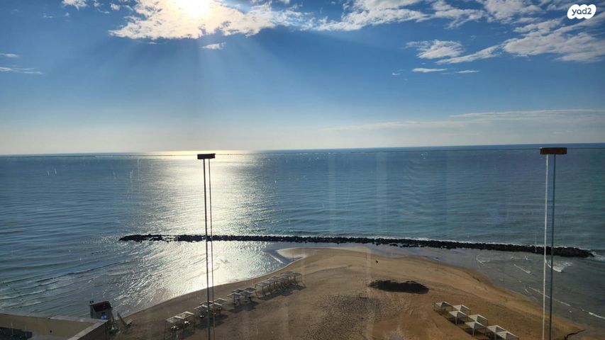 דוד אלעזר 10