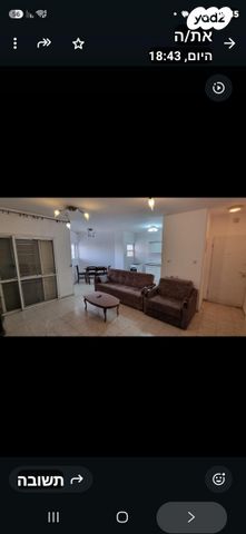 דוד אלעזר 16