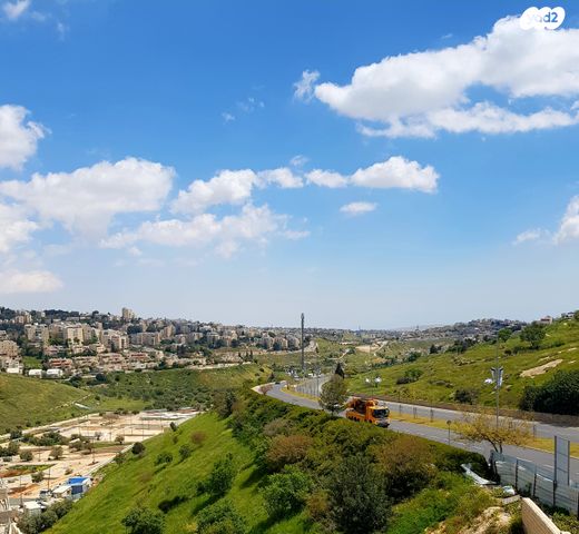 פרופסור יעקב נאמן 1