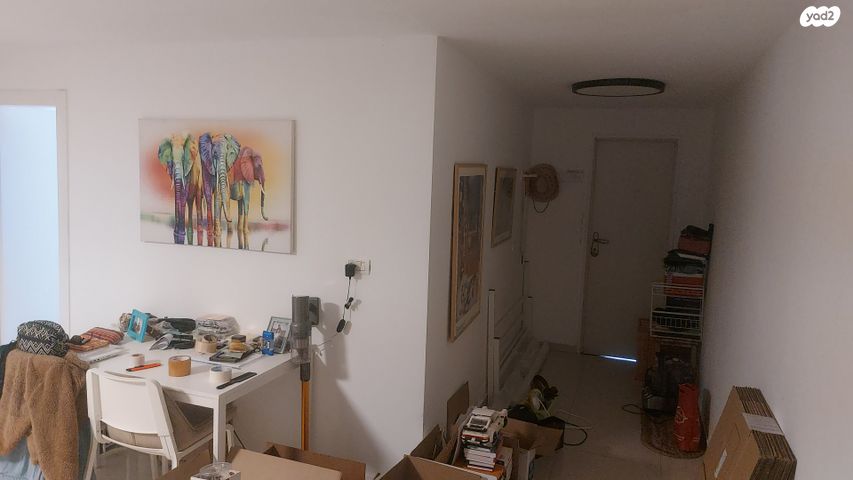 אריות הגולן 17