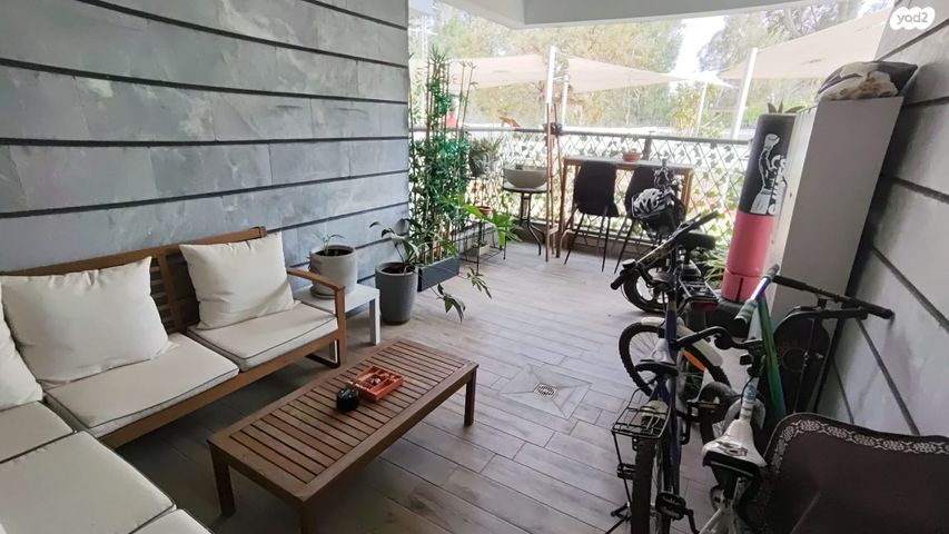 רועי קליין 8