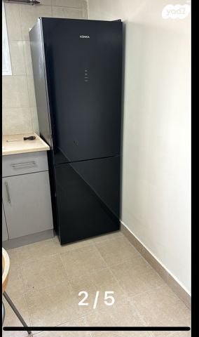 עליזה בגין 11