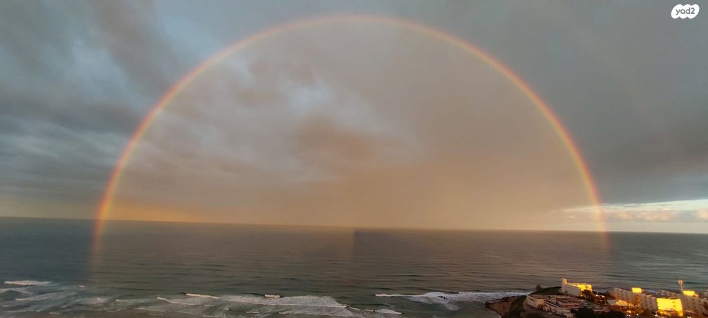 הגדוד העברי 8