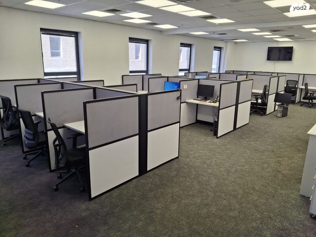 כנפי נשרים 15