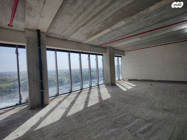 אריה שנקר 17