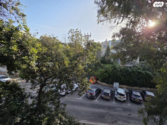 שושנת הכרמל 