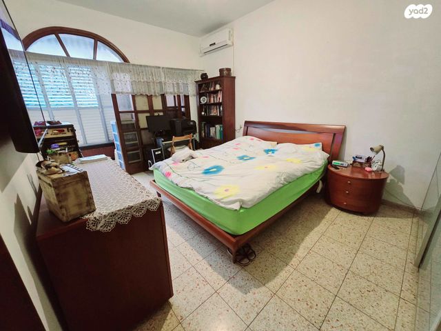 דוד וולפסון 