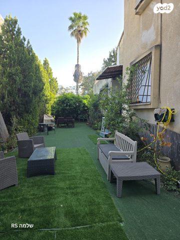 שלמה המלך 34