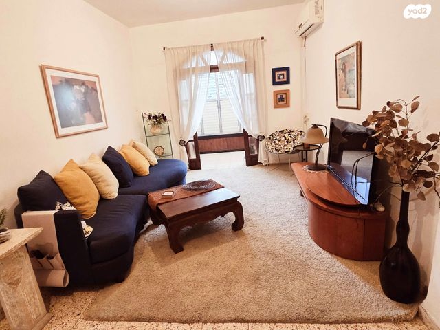 דוד וולפסון 