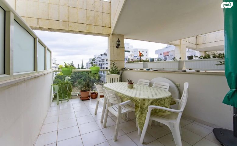 אלכסנדר סשה ארגוב 5