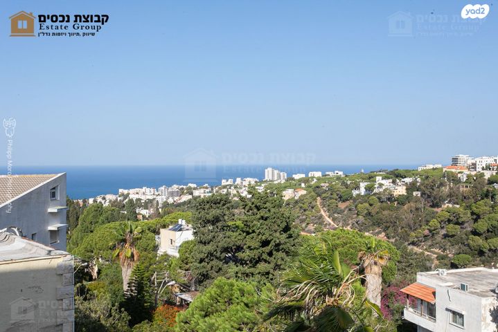 שושנת הכרמל 