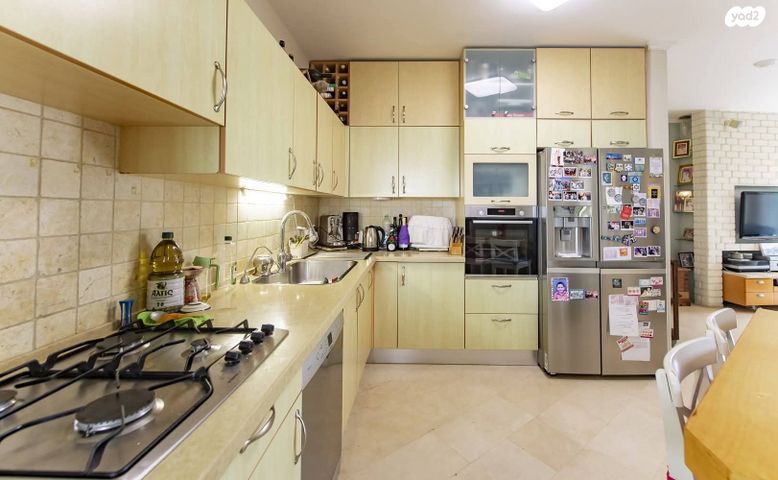 אלכסנדר סשה ארגוב 5