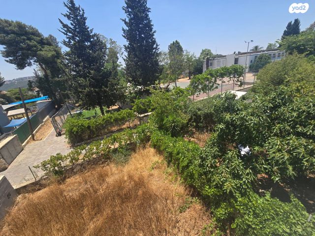 משעול כלנית 