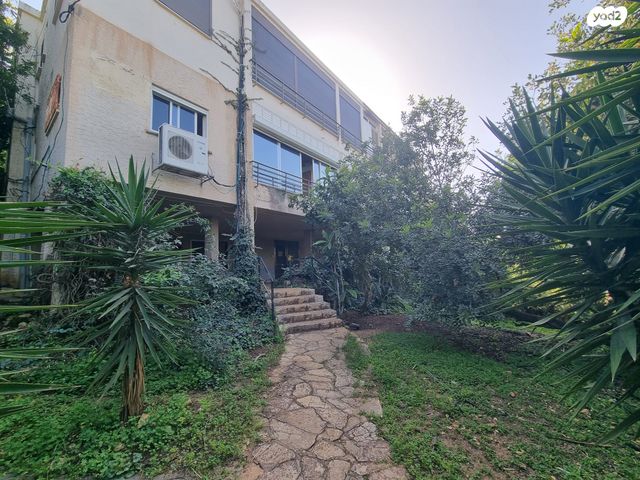 שושנת הכרמל 