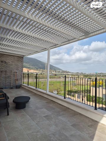 בצל האורנים