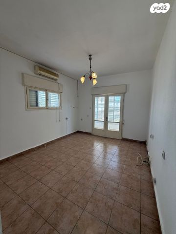 דוד וולפסון 19