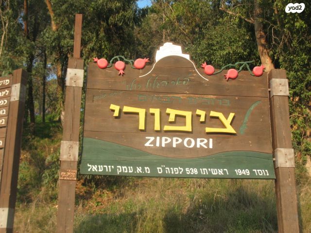 מחסנים, ציפורי