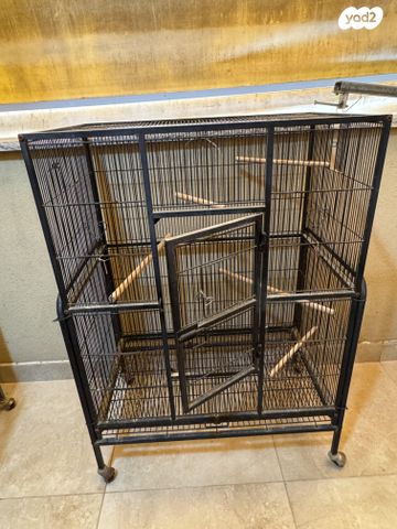 תמונת מודעה - חיות מחמד