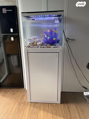 תמונת מודעה - חיות מחמד