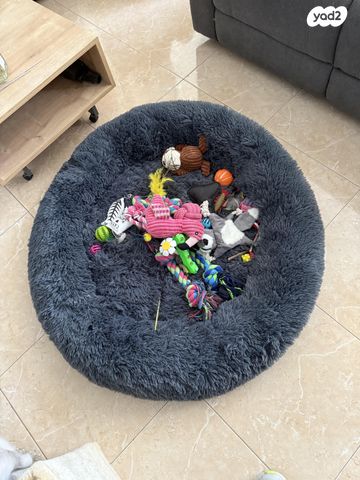 תמונת מודעה - חיות מחמד