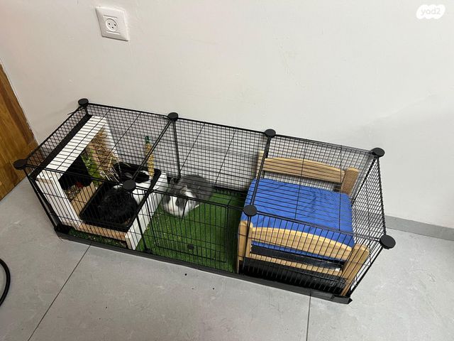 תמונת מודעה - חיות מחמד