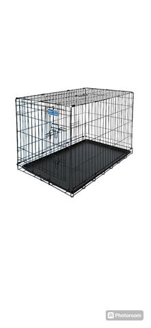 תמונת מודעה - חיות מחמד