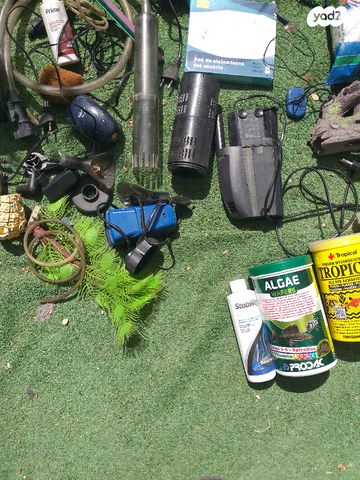 תמונת מודעה - חיות מחמד