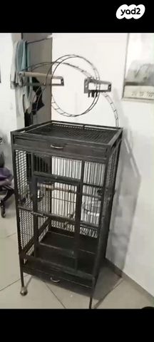 תמונת מודעה - חיות מחמד