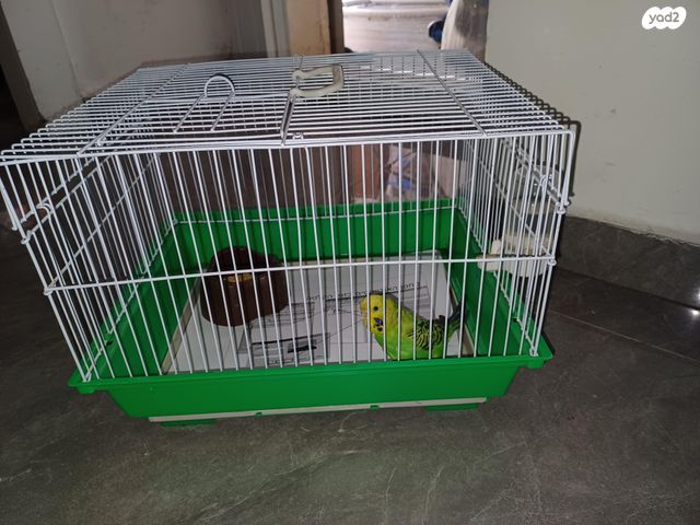 תמונת מודעה - חיות מחמד