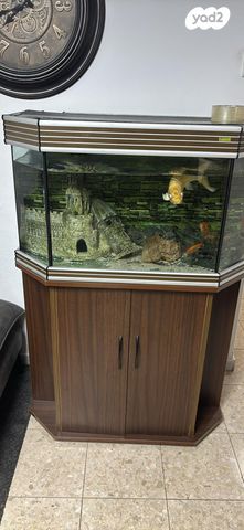 תמונת מודעה - חיות מחמד