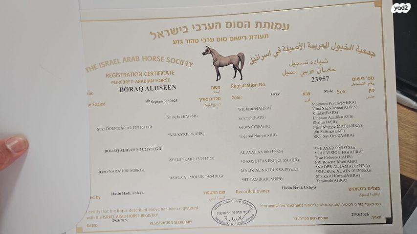 תמונת מודעה - חיות מחמד