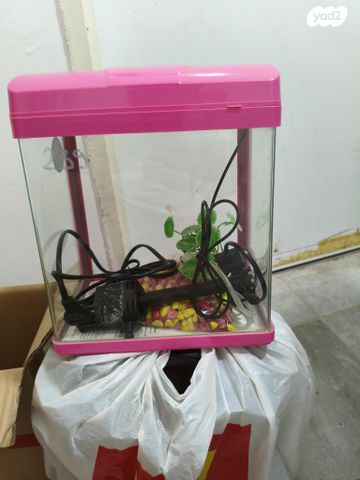 תמונת מודעה - חיות מחמד