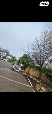 מודעת רכב דיאלים S3 Advance 250