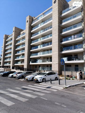 דוד צבי פנקס 3