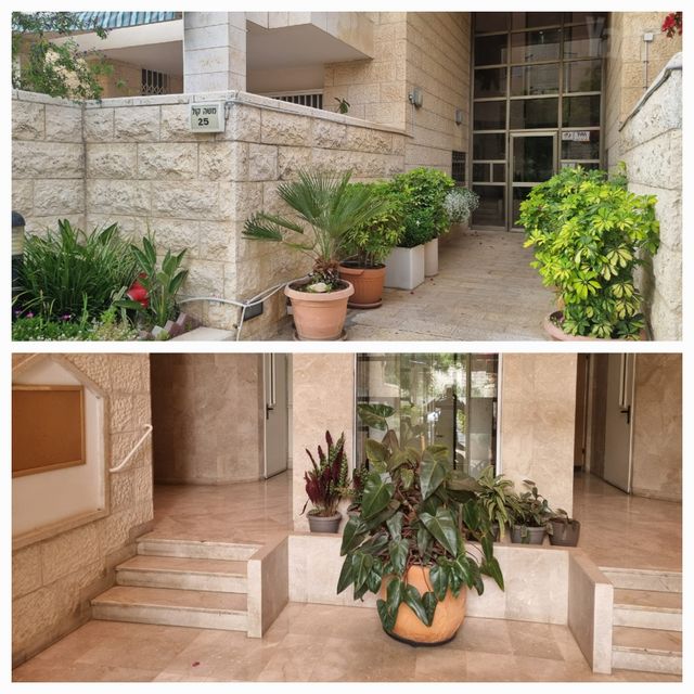 דירת גן למכירה בירושלים — 3