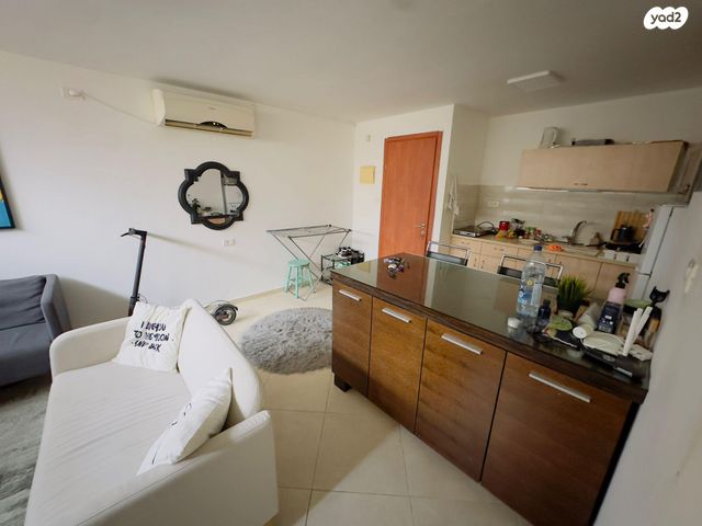 אלוני הבשן 47