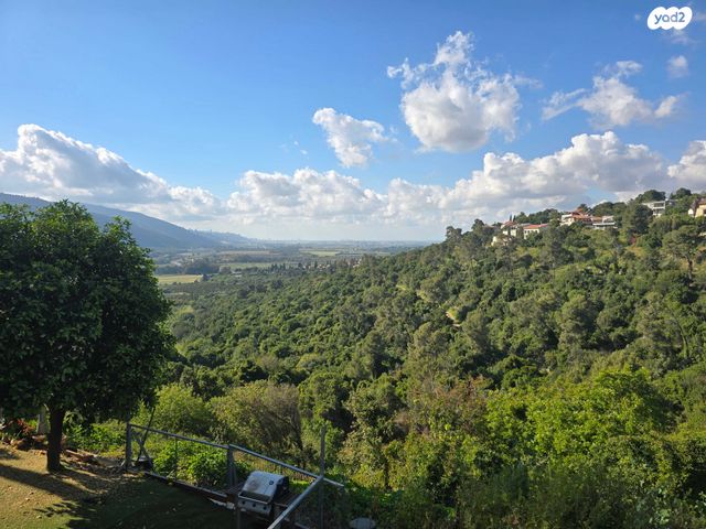 יגאל אלון 35