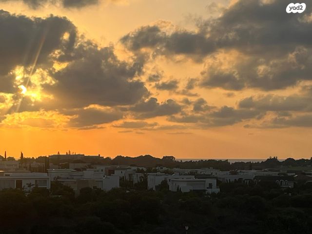 שדרות דוד המלך 36