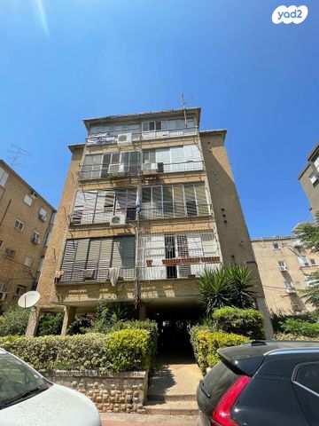 דבורה בארון 4