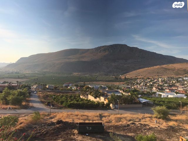 סמטת ההרדופים 1