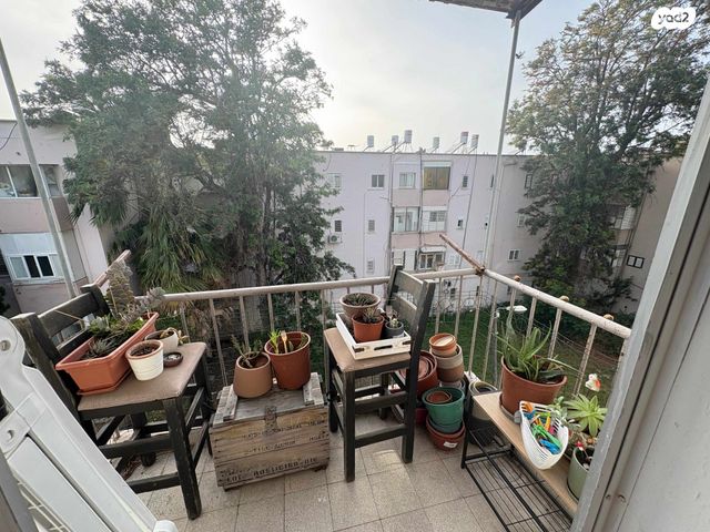 העלייה השנייה 17