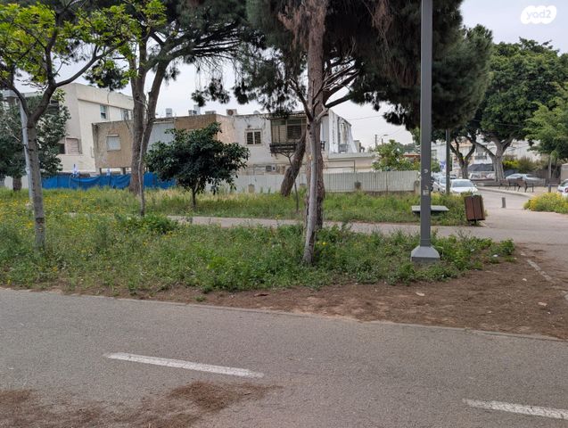 שלושת החיצים 6