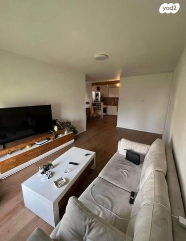 זלמן שניאור 29