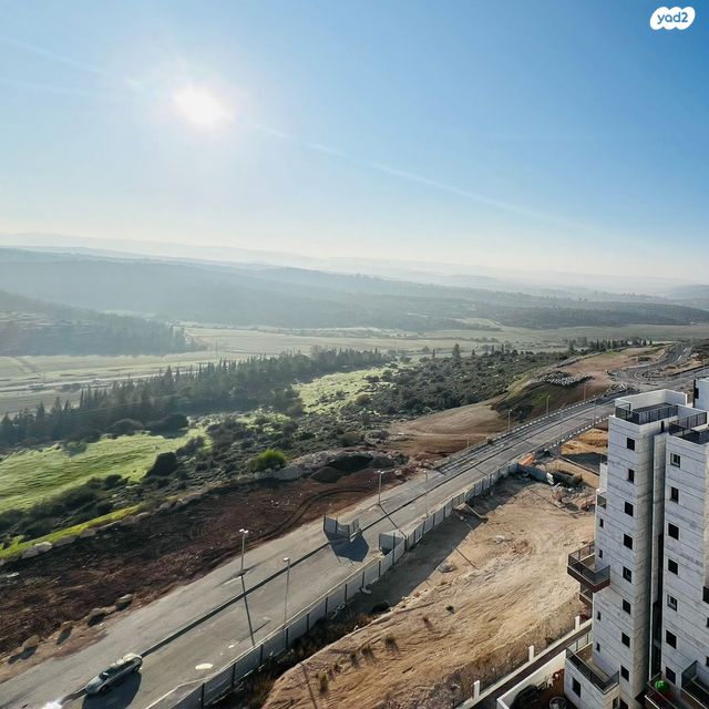 רועי קליין 29