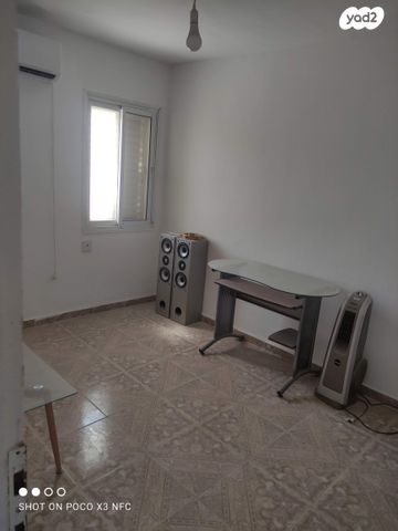 צבי בורנשטיין 531