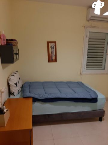 הר הצופים 13