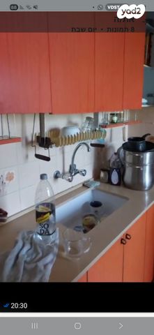 מורדי הגטאות 29