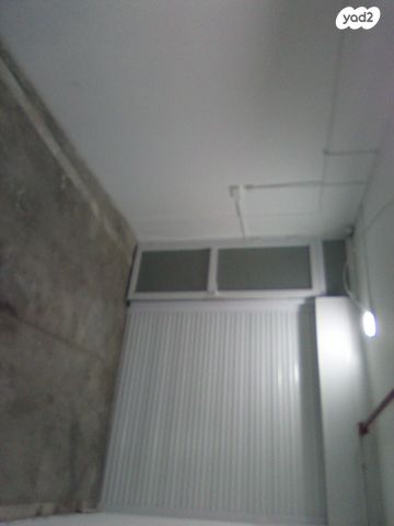 הרב אריה בינה 33