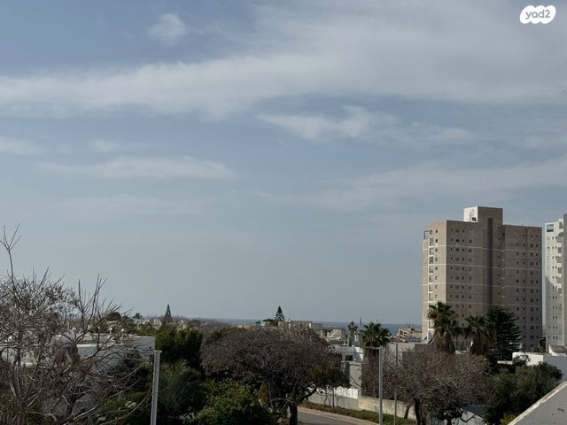 שרה אהרונסון 